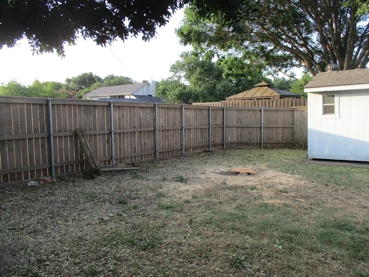 Cleared yard after professional tree removal in Kings Mills
