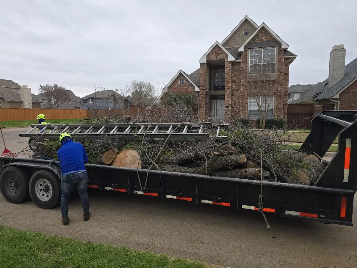 Expert Tree Fertilization with proper safety equipment in Kings Mills